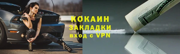 винт Дмитриев