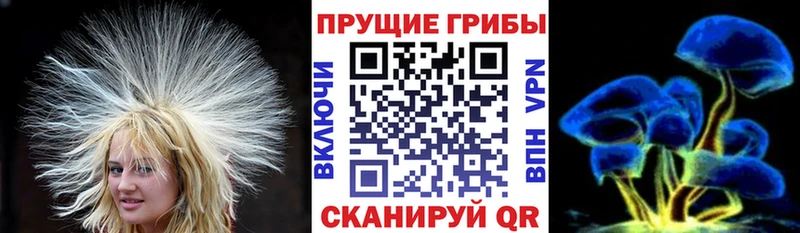 Галлюциногенные грибы ЛСД  Купить где  Балабаново 