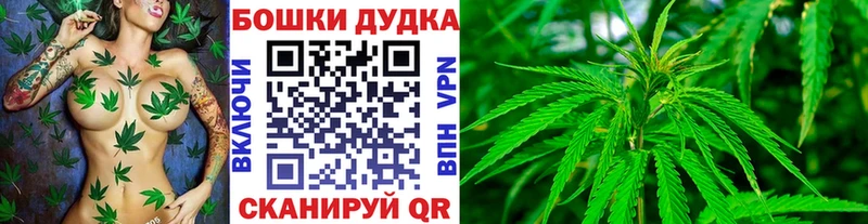 Купить где  Балабаново  Конопля план 